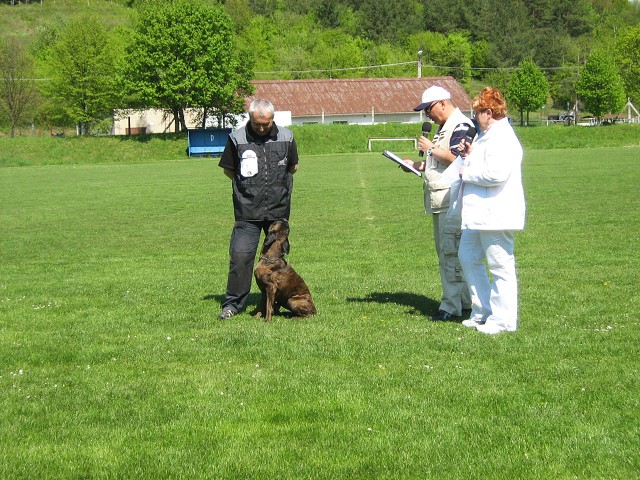 www.atibox.net * www.euroboxer.eu * www.boxergenealogia.eu